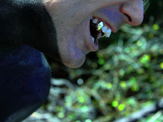 Black Diamond Fangs