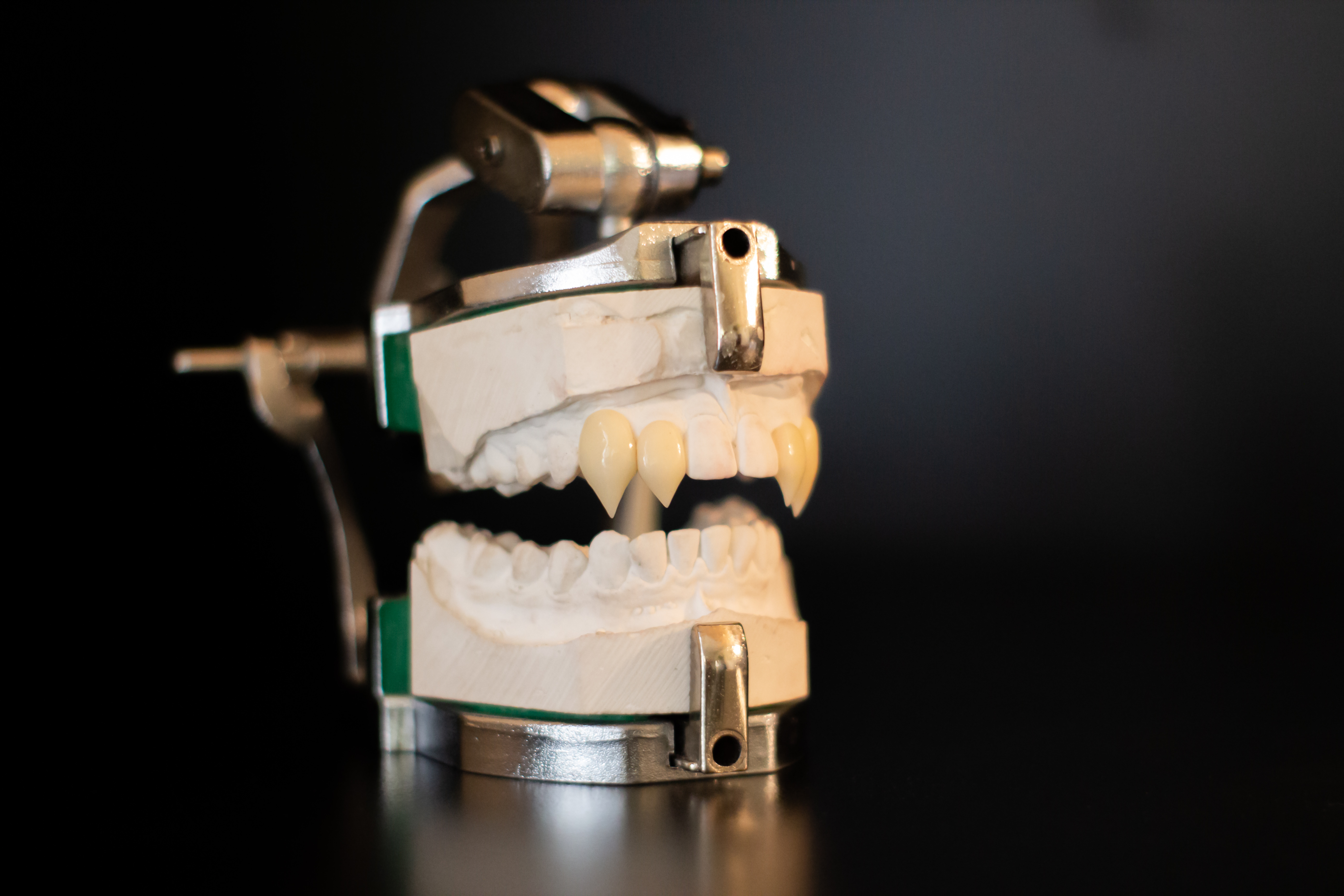 FangSmith Custom Vampire Fangs Fang Designs