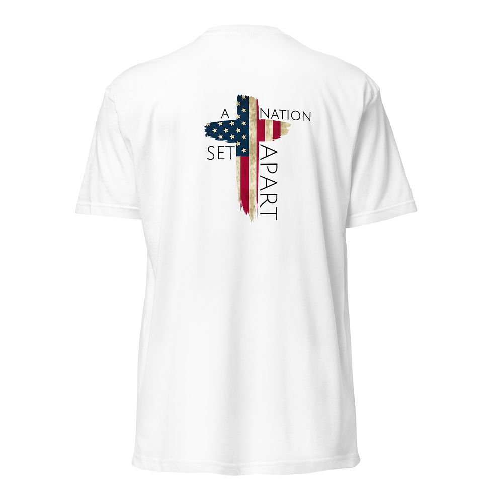 Thumbnail: Unisex Fitted T-Shirt - Next Level 6210- TNT