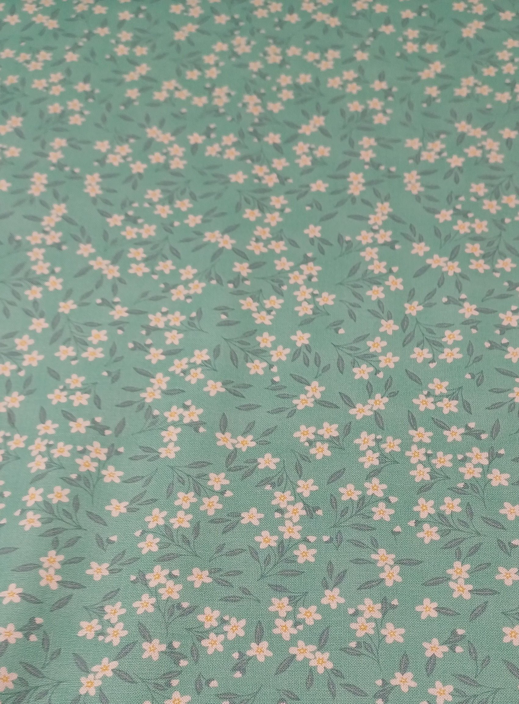 Mushroom Blooms - Bloomies Mint- Sold By The FQ