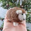 Thumbnail: Natural Woolly Felt Sheep Decoration