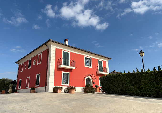 Progetto senza titolo-12.png