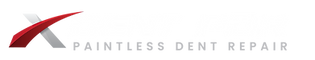 logo dent pdr biele.png