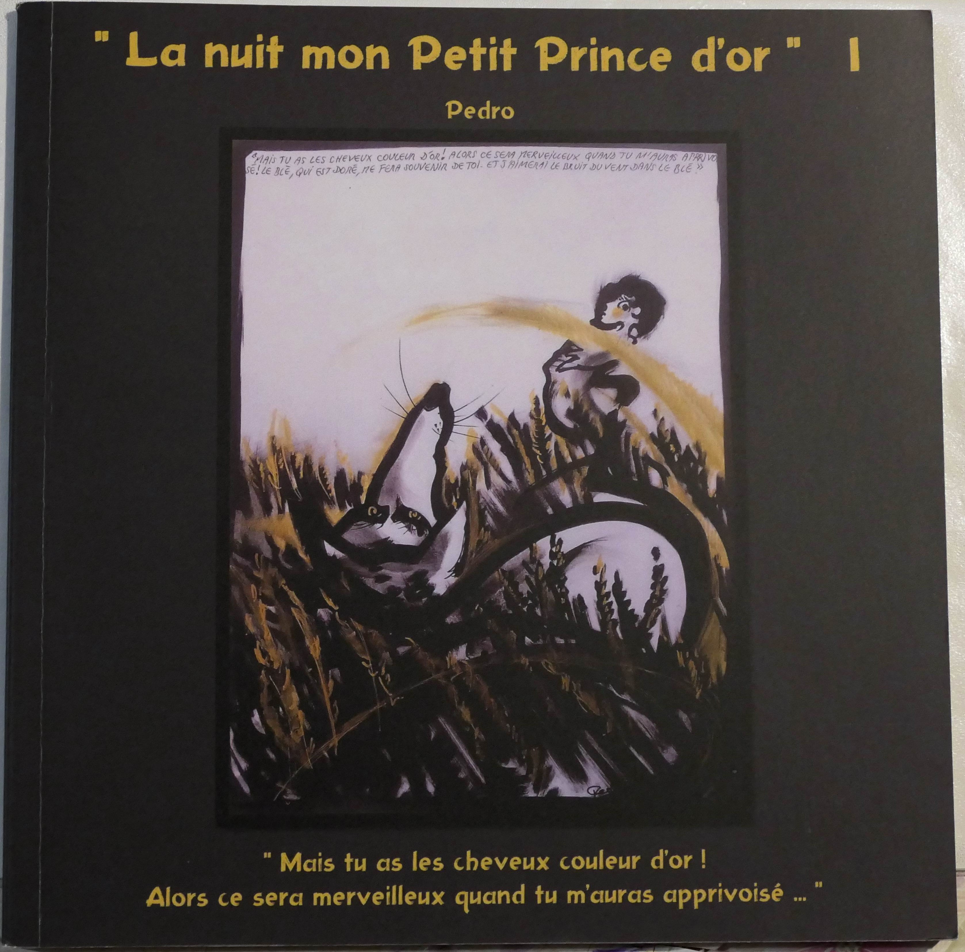 La nuit mon Petit Prince d'or 1
