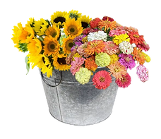 image0 (002)_edited_edited.png