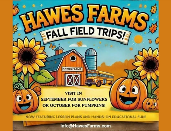 field trips for the kids learn all about farming