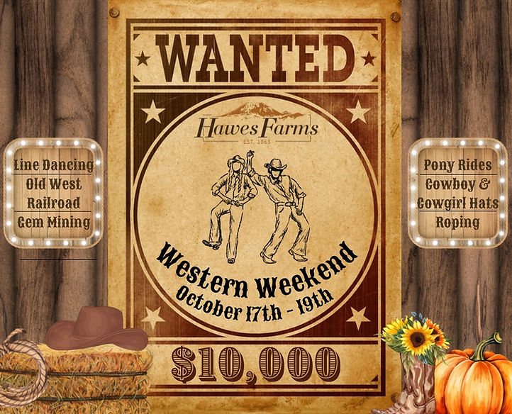hawes western weekend.jpg