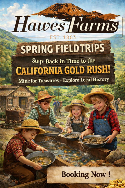 Spring fieldtrips 2_edited_edited.jpg