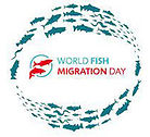 world-fish-migration-day.jpg