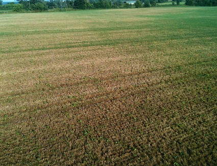 The benefits of Aerworx aeration