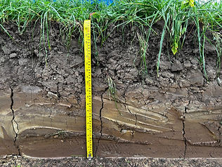 Fracturing the soil down to 30cm