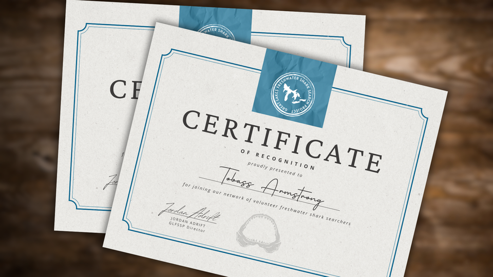 Sample Great Lakes Shark Patrol Certificate.