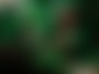 AVEDA 2025 holiday giftsets for all hair, skin and body types