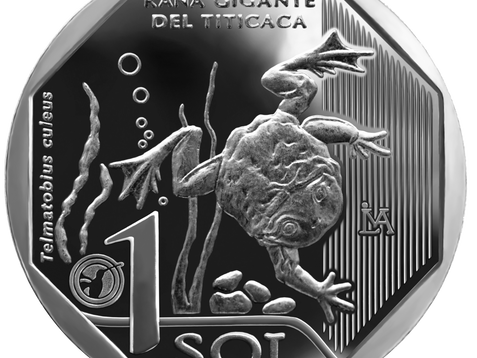 Retoque en photoshop