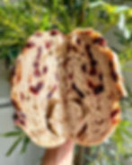 Cranberry Sourdough Bread
