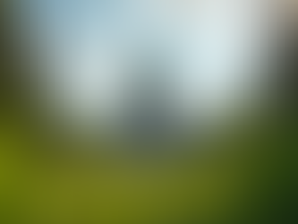 Navigating Alberta's Political Landscape: Expert Strategies