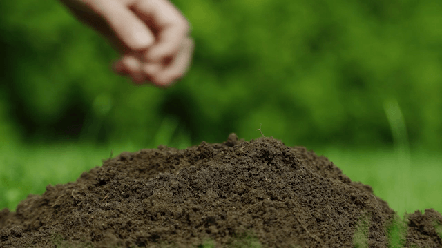Soil texture