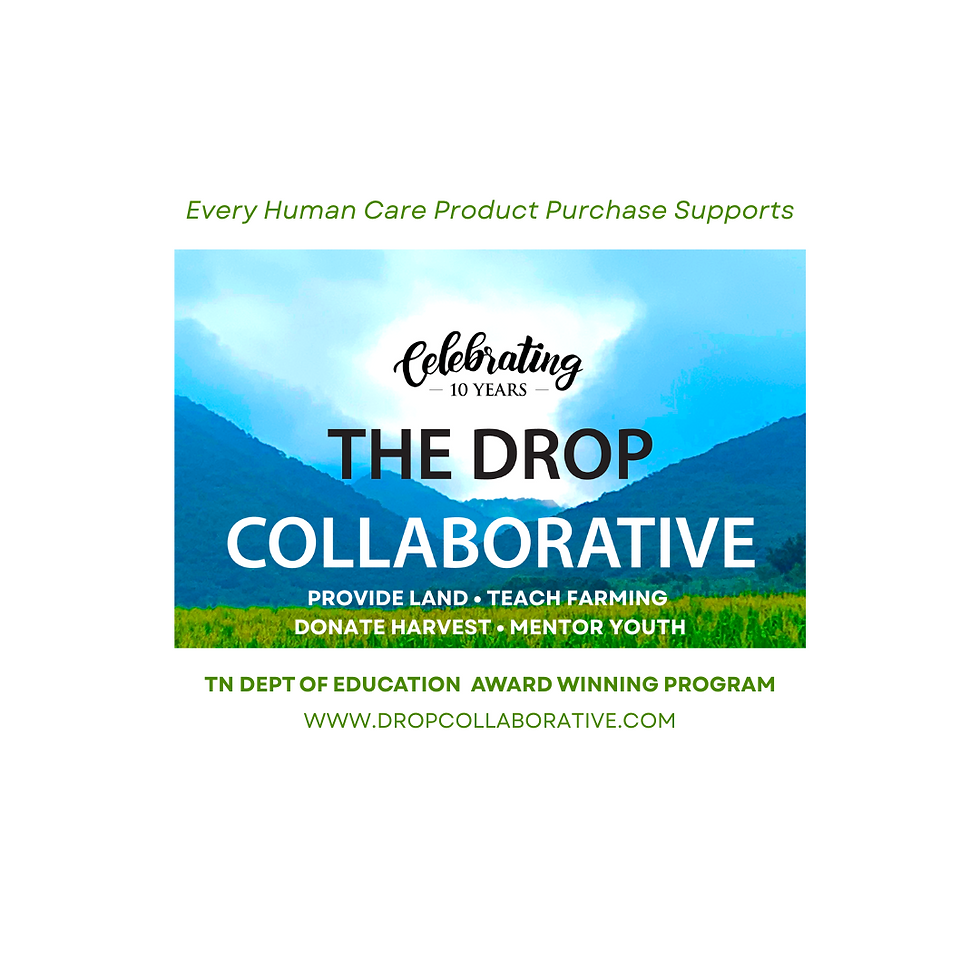 Thumbnail: Harmony Crystals