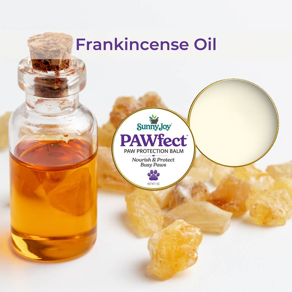 Thumbnail: PAWfect Balm  (Canine)