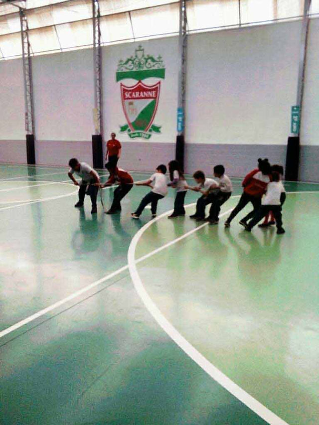 MJME7374