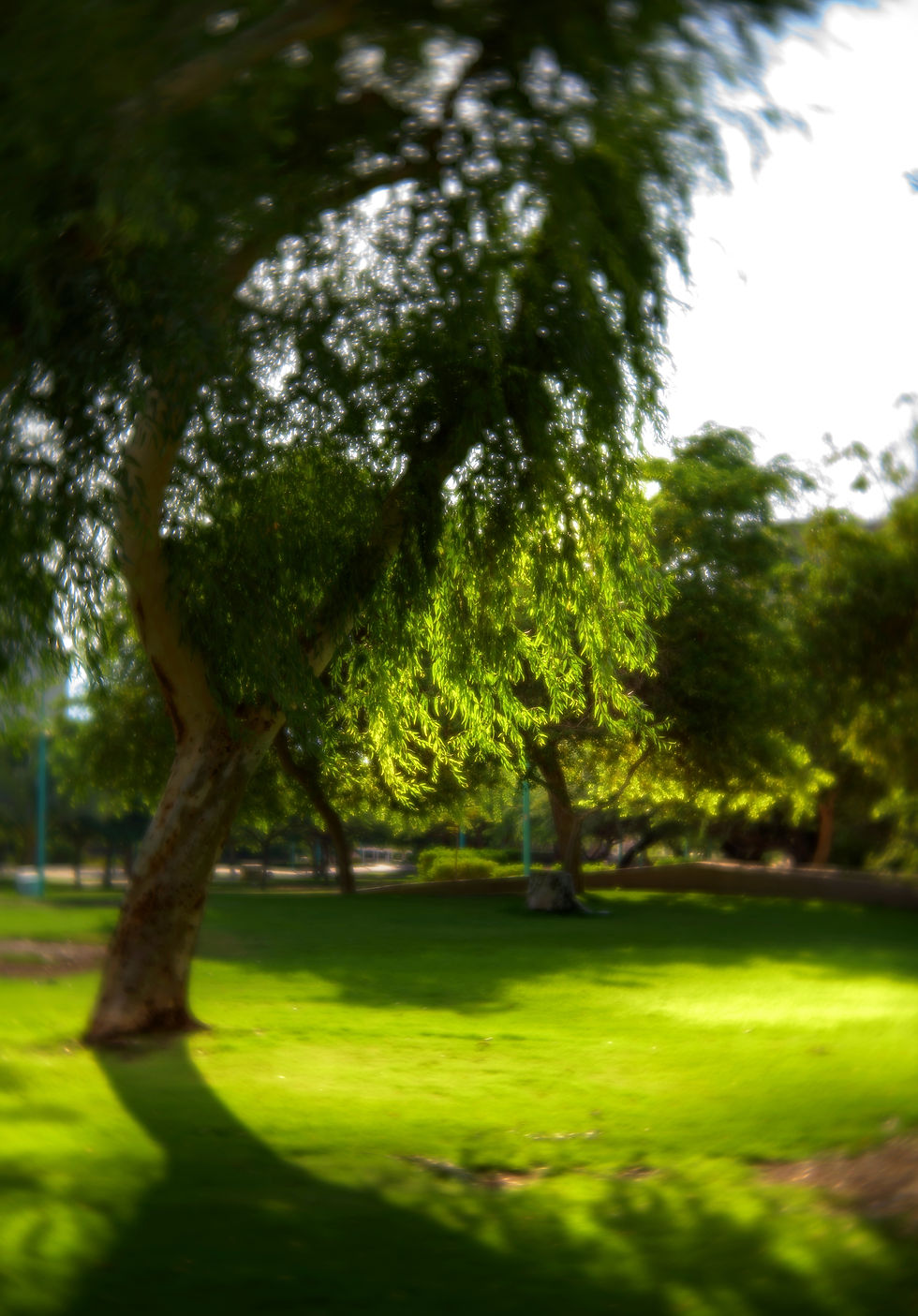 PIV_0451c.jpg