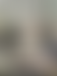 Four SEDENA Soldiers Killed by Anti-Personnel Land Mine in CJNG Camp Outside Aguililla, Michoacán—Proliferating Use