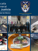 Santa Muerte Altar in Mexico City Squat House (Okupa Cuba) Linked to Anarcha-Feminist Group