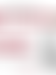 Dr. John P. Sullivan Participated in an International Symposium on Combatting Organized Crime in Salvador, Bahia, Brazil