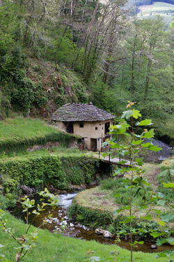 31. 'En los límites exteriores de Besullo 1'. Miriam Vergara Pávez