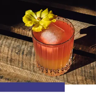 Orange Blossom