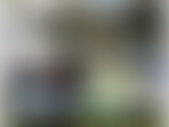 ТВОЄ МАЙБУТНЄ – ТВІЙ ВИБІР: ВСТУП 2025