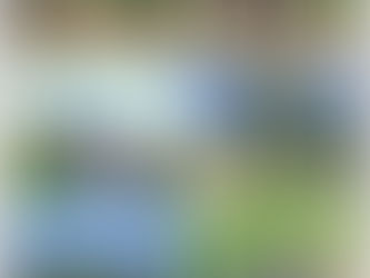 НЕЗАБУТНЯ ПРИРОДНИЧА ПРАКТИКА СТУДЕНТІВ: П’ЯТЬ ДНІВ ПРИГОД, НАТХНЕННЯ І ВІДКРИТТІВ!