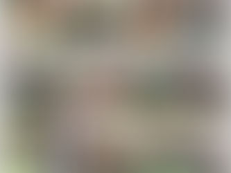 ПРОФЕСІЙНИЙ СТАРТ: ПРАКТИКА, ЩО ПЕРЕТВОРЮЄ СТУДЕНТА НА ВЧИТЕЛЯ