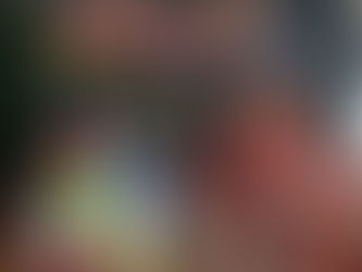 МАНДРІВКА ДО КРАЇНИ КАЗОК І МУЛЬТИКІВ