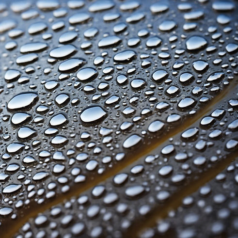 Windshield Ceramic Coatings Near Me