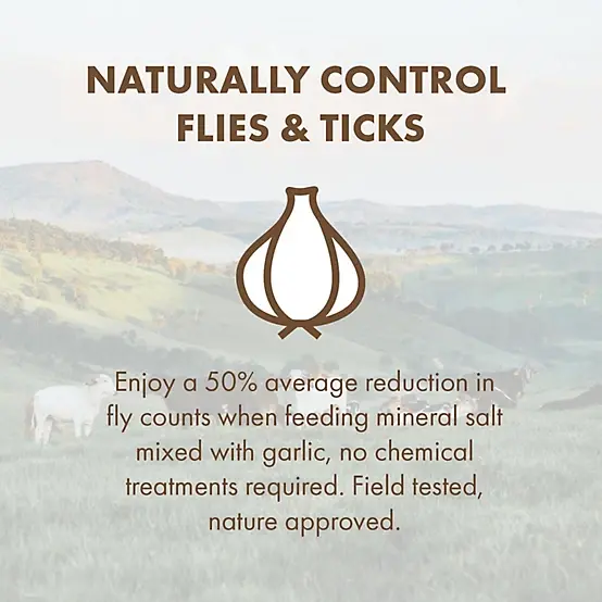 Thumbnail: Sea-90 Premium Mineral Salt with Garlic