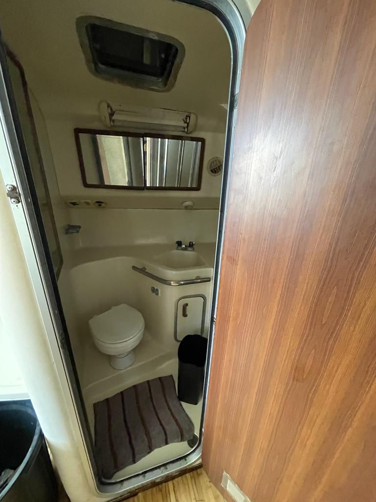 Miniatura: SEA RAY 42 PIES