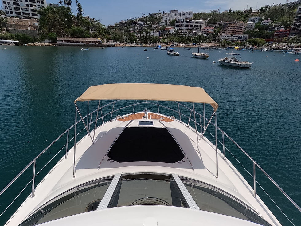 Miniatura: SEA RAY 52 PIES