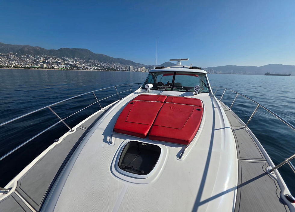 Miniatura: SEA RAY 54