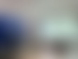 НОГООН БАРИЛГА – НОГООН САНХҮҮЖИЛТ – БАТАЛГААЖУУЛАЛТ ХЭЛЭЛЦҮҮЛЭГ ЗОХИОН БАЙГУУЛАГДЛАА