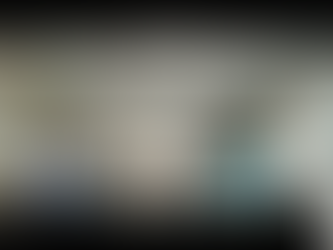 Бүгд найрамдах Энэтхэг улсын даатгалын компанид ISO/IEC 27001 болон ISO 22301 стандартын аудитын багийн гишүүнээр ажиллаа.