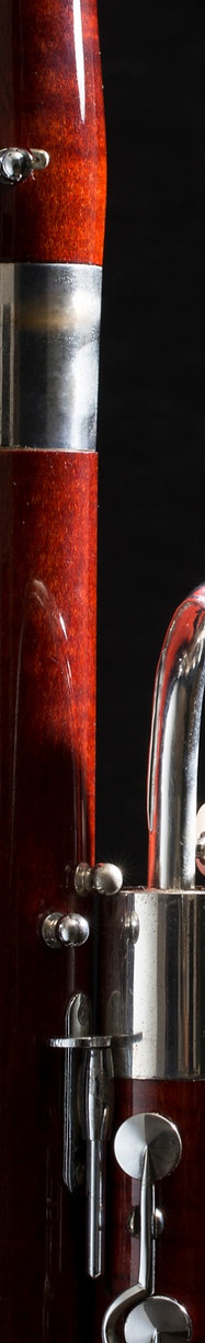 Bassoon_edited.jpg