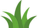 Green grass