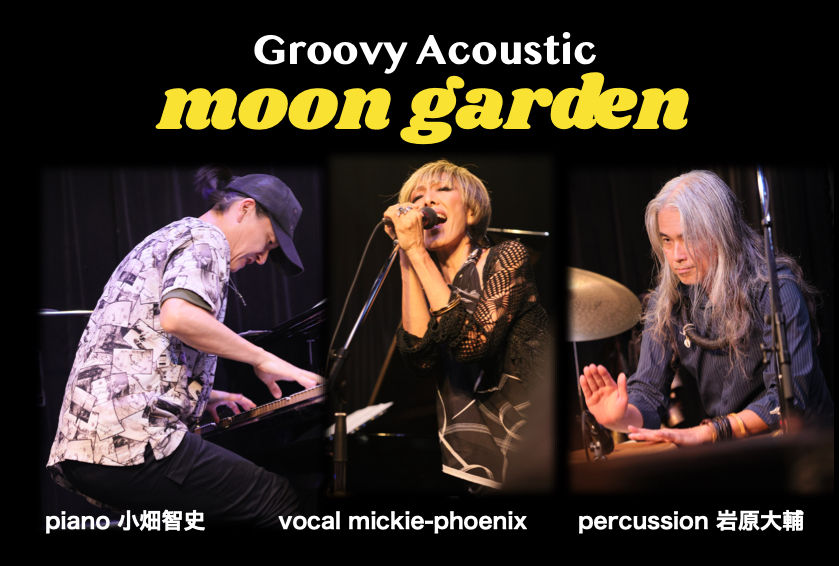 Groovy Acoustic "moon garden”