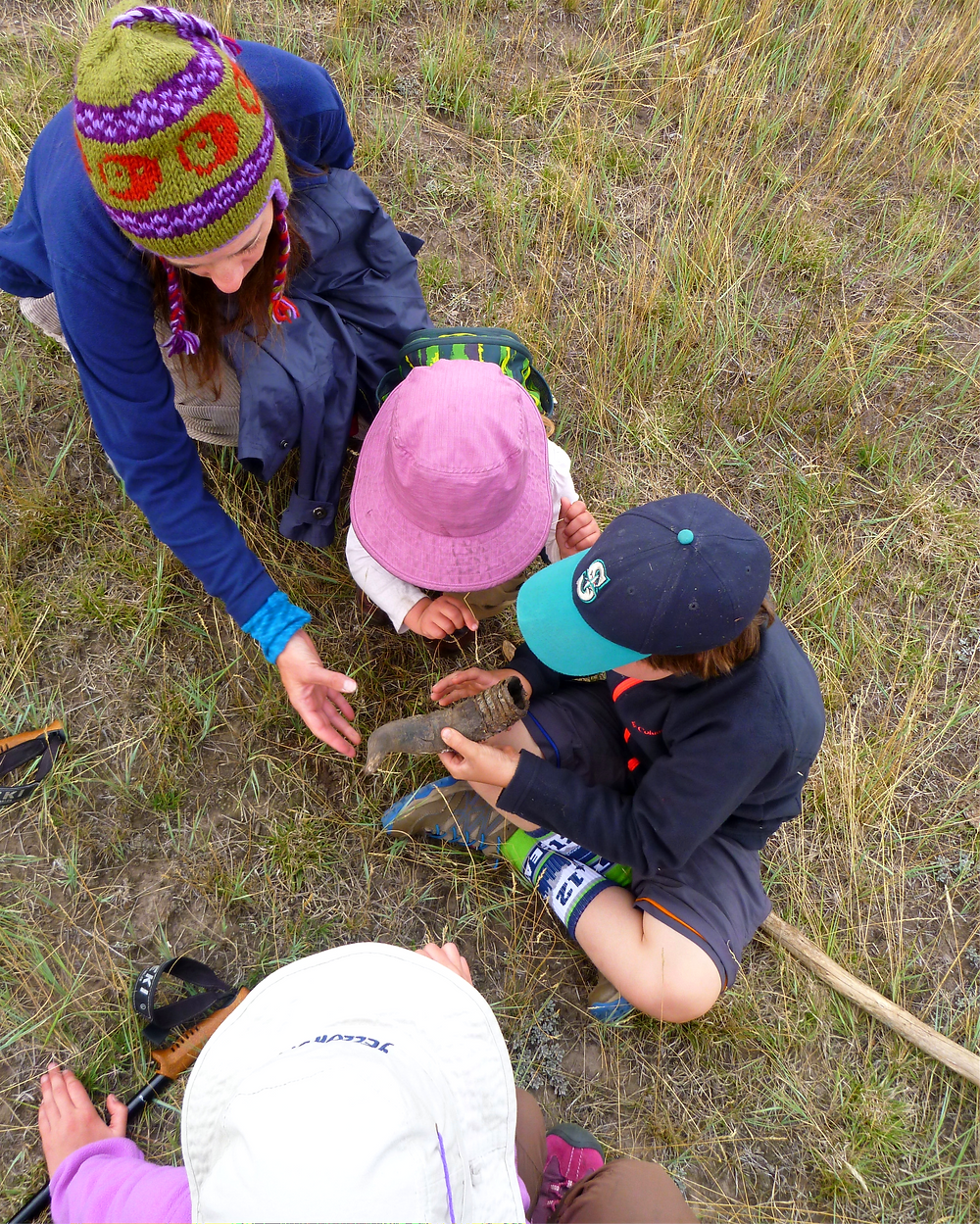 A family invesitgates a pronghorn sheath found on a hike in Yellowstone