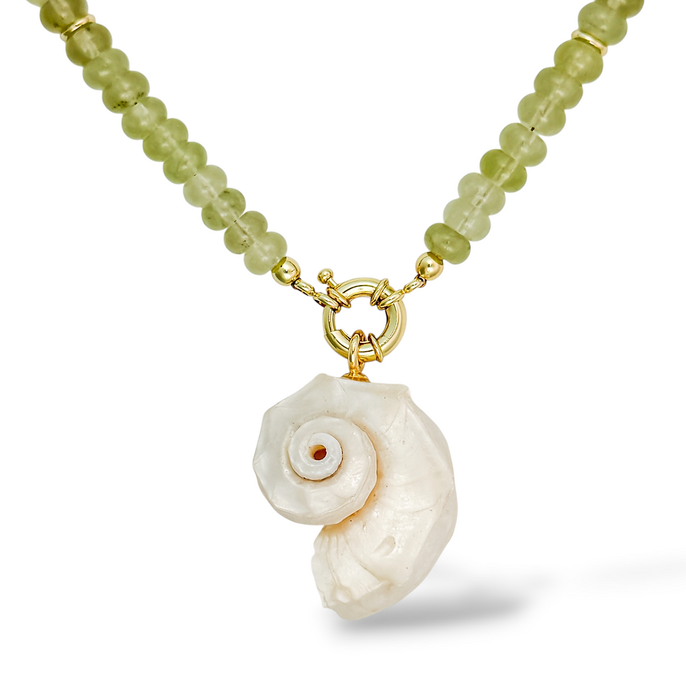 Nautilus Grove Necklace with Nautilus Seashell Charm