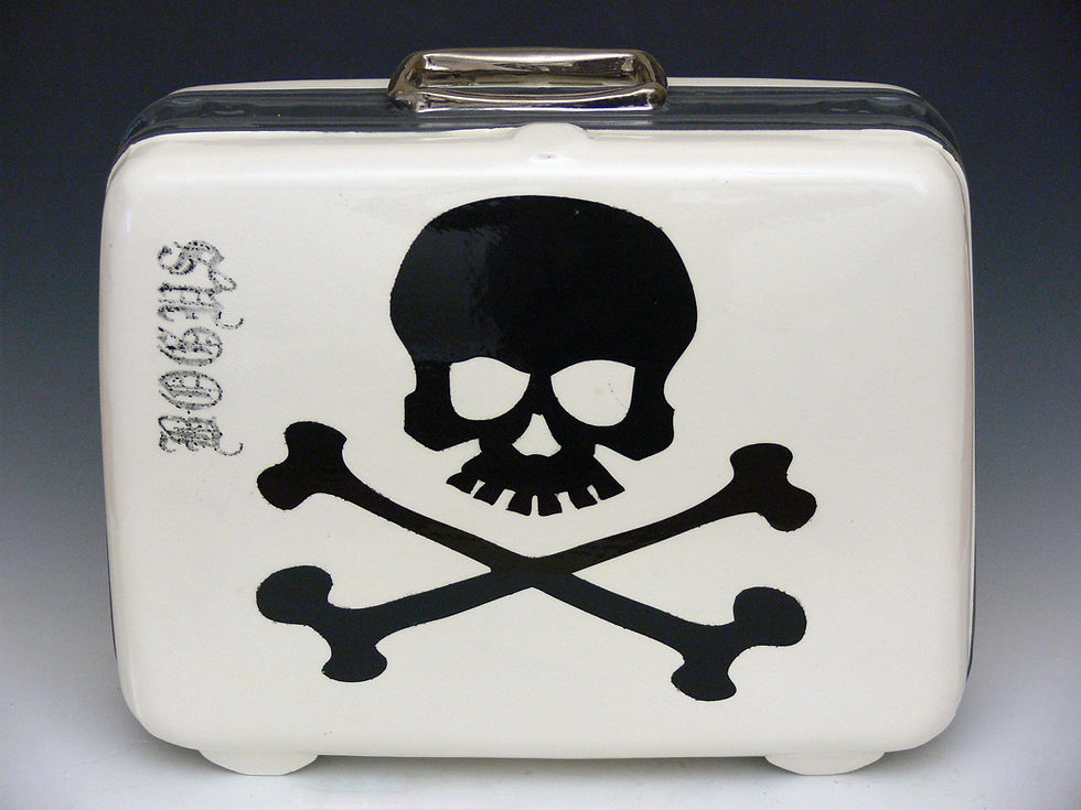 Optimist Luggage #305