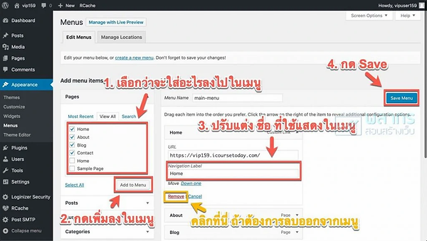 11.webp