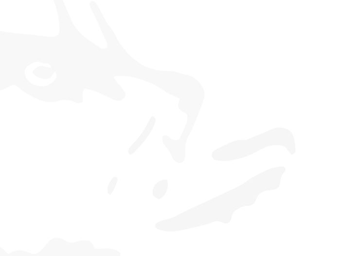 MONKFISH_COORDINATOR_JOB_WEB_HEADER_FISH_2024.jpg