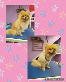 541930877_17966787467951397_7962306425727526589_n